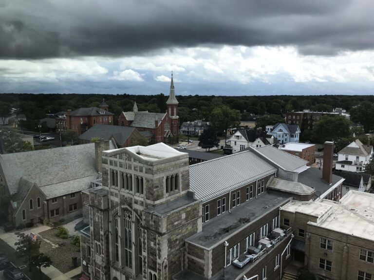 York Saint John University